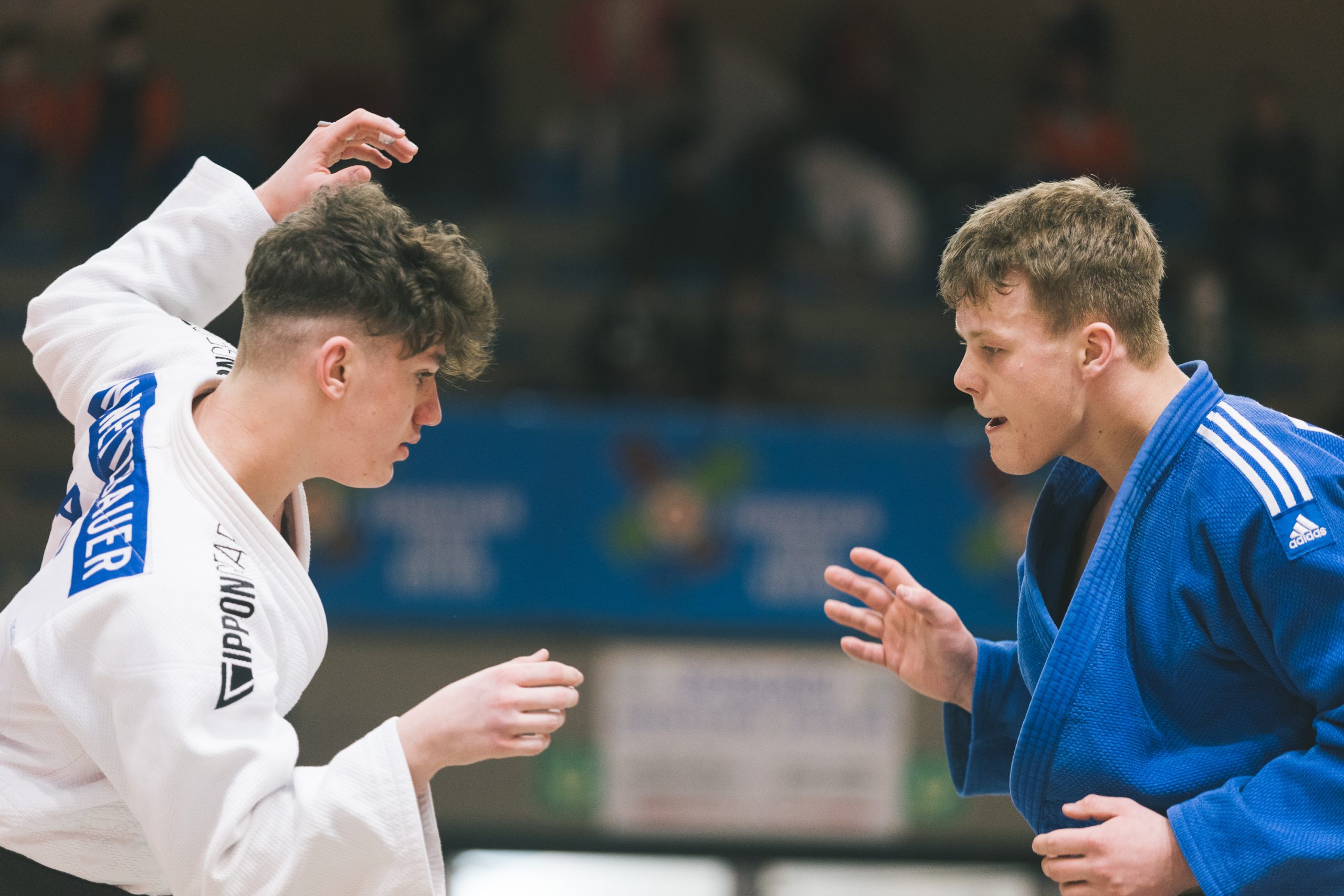 TERRIFIC NUMBERS FLY IN TO TEPLICE FOR CADET EUROPEAN CUP